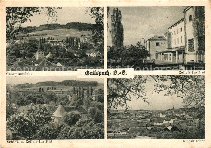 Gallspach Panorama Zeileis Institut Schloss Grieskirchen