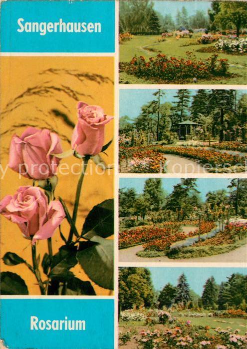 Sangerhausen Suedharz Rosarium Details