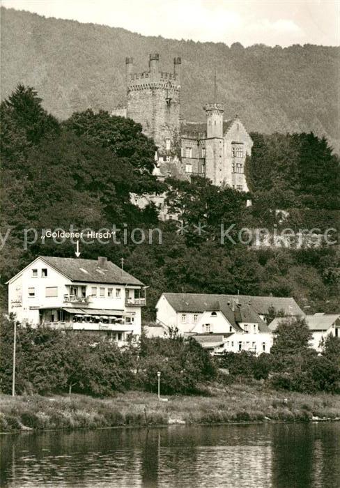 Neckarsteinach Restaurant Goldener Hirsch mit Burg