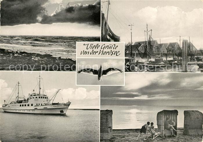 Nordsee Region Hafen Strandkoerbe Fischerei Moewe