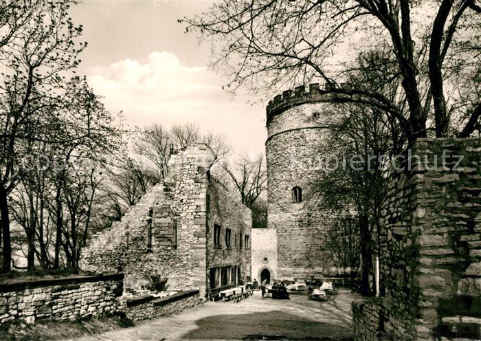 Goettingen Niedersachsen Burg Plesse