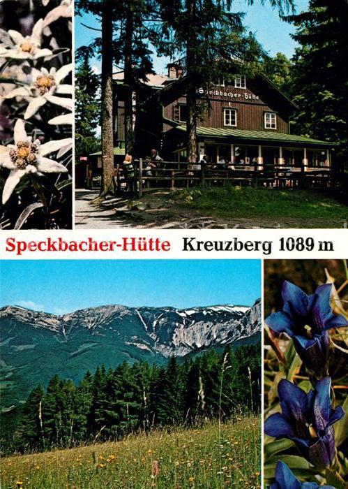 Breitenstein Niederoesterreich Speckbacher Huette Edelweiss