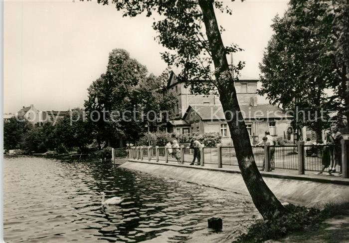 Strausberg Brandenburg Straus See