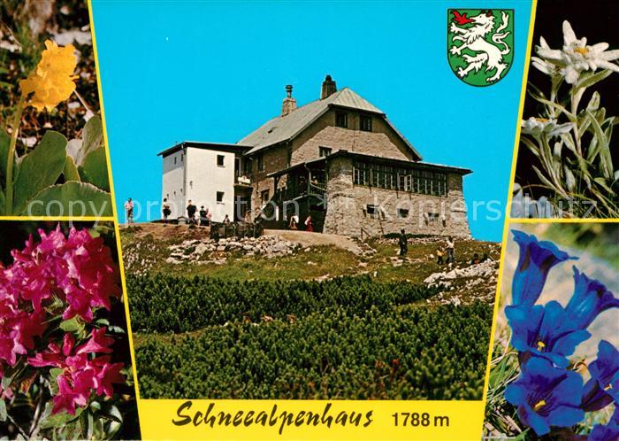 Kapellen Steiermark Schneealpenhaus Alpenflora Enzian Edelweiss Wappen