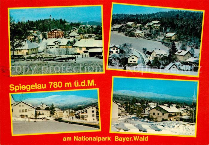 Spiegelau Teilansichten im Winter Nationalpark Bayerischer Wald