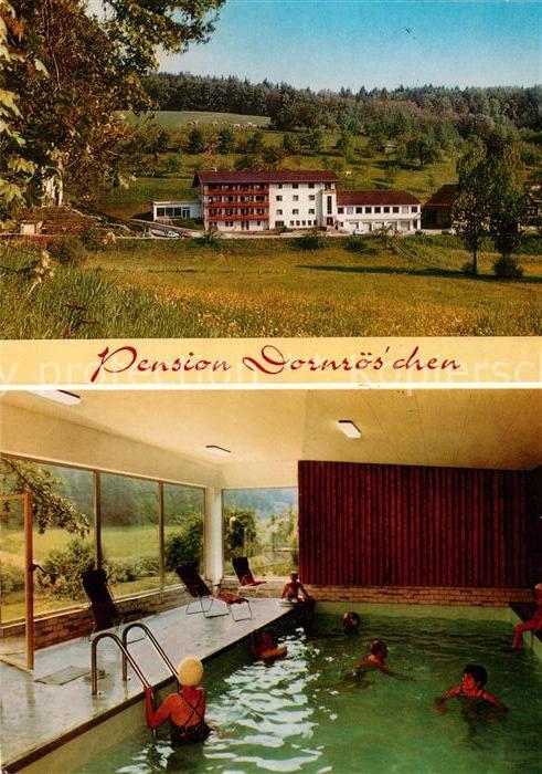Hoechst Odenwald Pension Dornroeschen Hallenbad Erholungsort