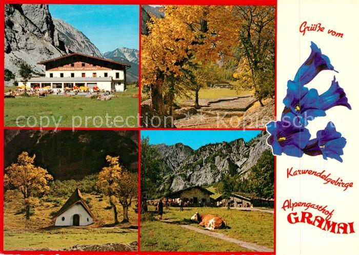 Gramaialm Alpengasthof Kapelle Kuh Herbststimmung Blauer Enzian Alpen