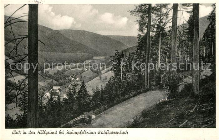 Waldkatzenbach Panorama Blick in den Hoellgrund
