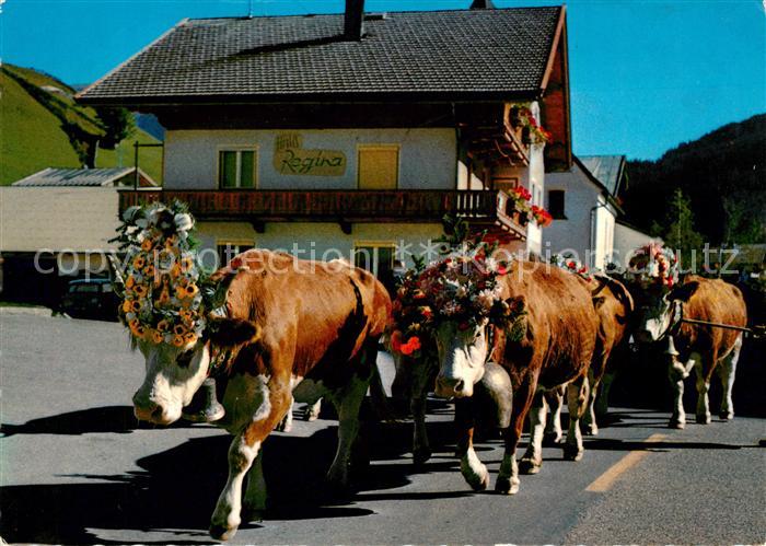 Gerlos Almabtrieb Kuehe