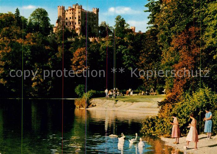 Hohenschwangau Koenigsschloss Partie am Alpsee Schwaene Herbststimmung