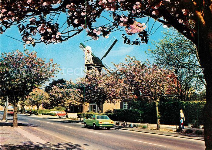 Wittmund Strassenpartie Baumbluete Windmuehle