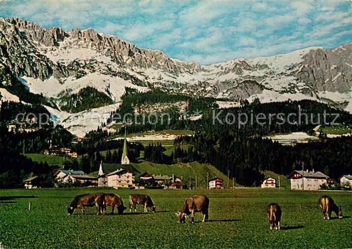 Scheffau Wilden Kaiser Panorama