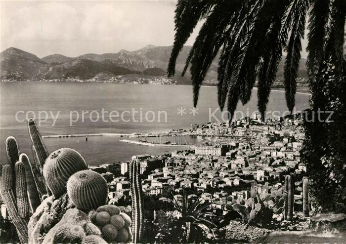 Cannes Alpes-Maritimes Vue generale