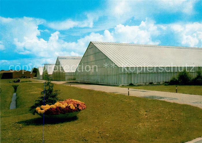 Wiesmoor Gewaechshaeuser der NWK