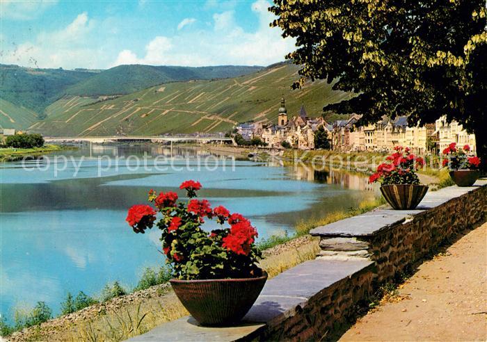 Zell Mosel Uferpartie