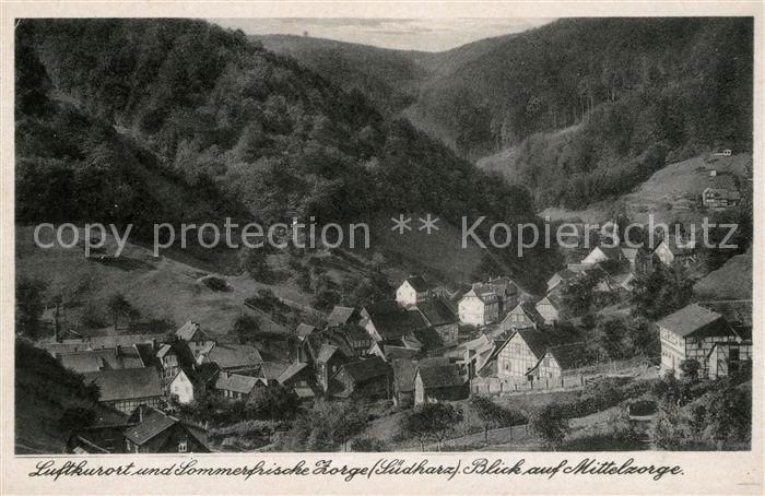 Zorge Luftkurort Sommerfrische Blick auf Mittelzorge
