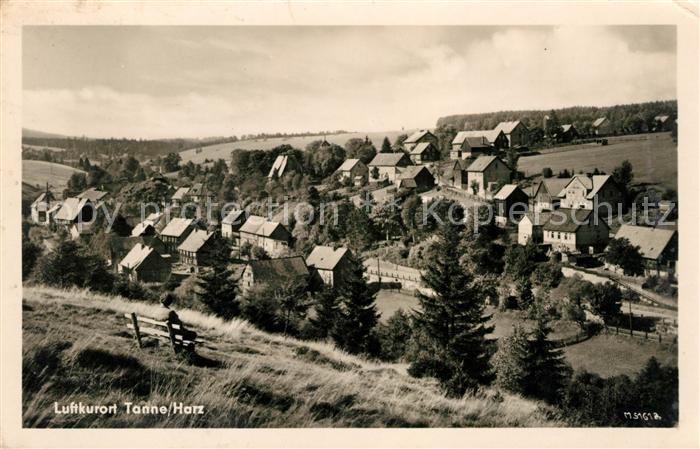 Tanne Harz Panorama Luftkurort