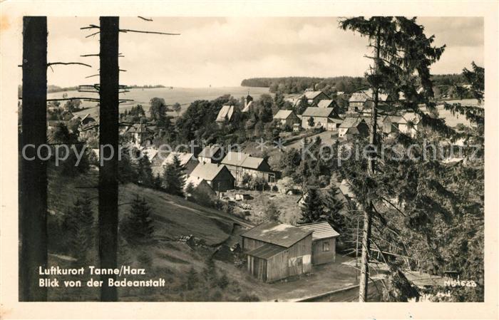 Tanne Harz Panorama Blick von der Badeanstalt Luftkurort