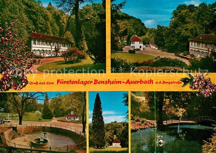 Auerbach Bergstrasse Fuerstenlager Schwanenteich