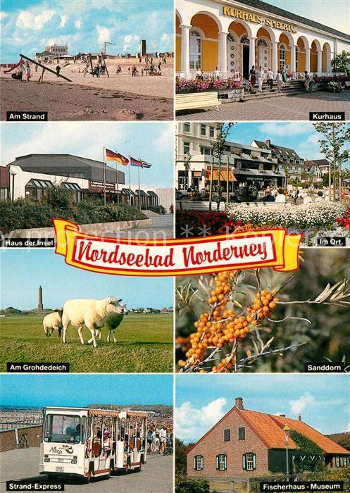 Norderney Nordseebad Strand Kurhaus Haus der Insel Ortsmotiv Grohdedeich Schafe