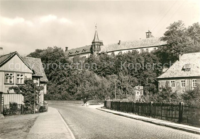Ilsenburg Harz Blick zum Schloss