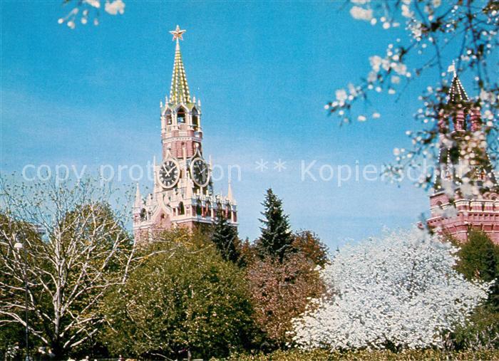 Moskau Moscou Springtime Fruehling Baumbluete