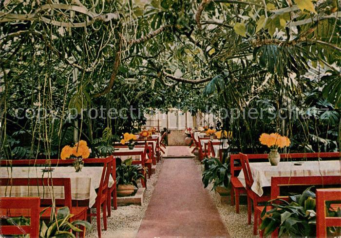 Lorch Wuerttemberg Waldkaffee Muckensee Wintergarten