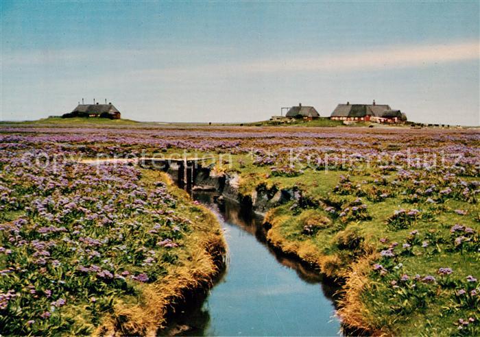 Hallig Nordsee Bandestave