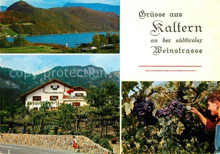 Kaltern Weinstrasse Tirol Gaestehaus Wiesmuellerhof