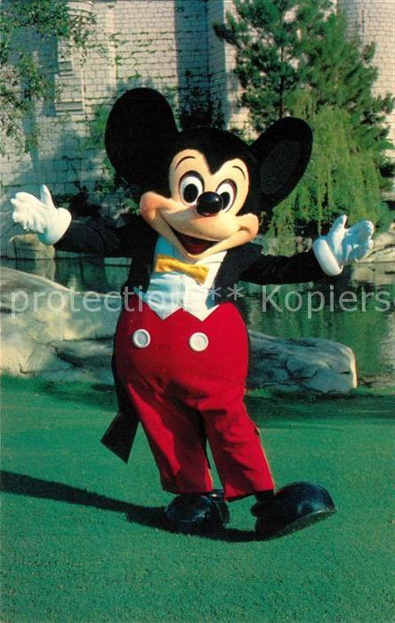 Walt Disney World Mickey Mouse