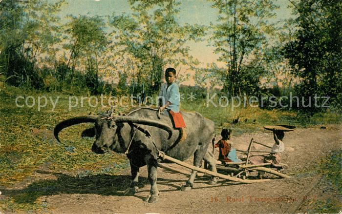 Tiere Rural Transportation Denniston's Manila