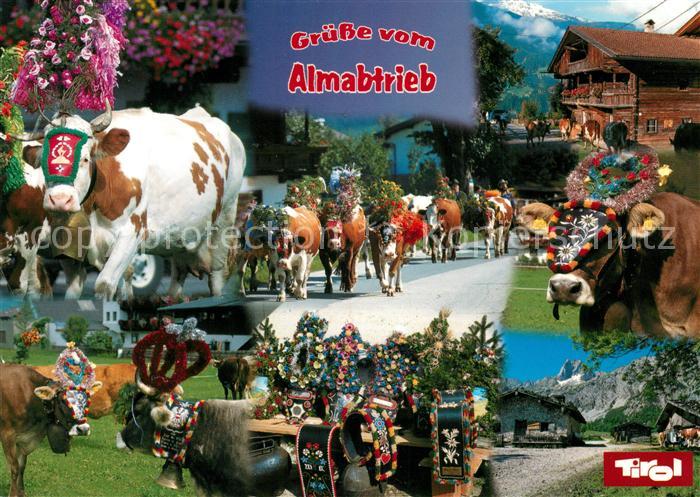 Kuehe Almabtrieb Tirol