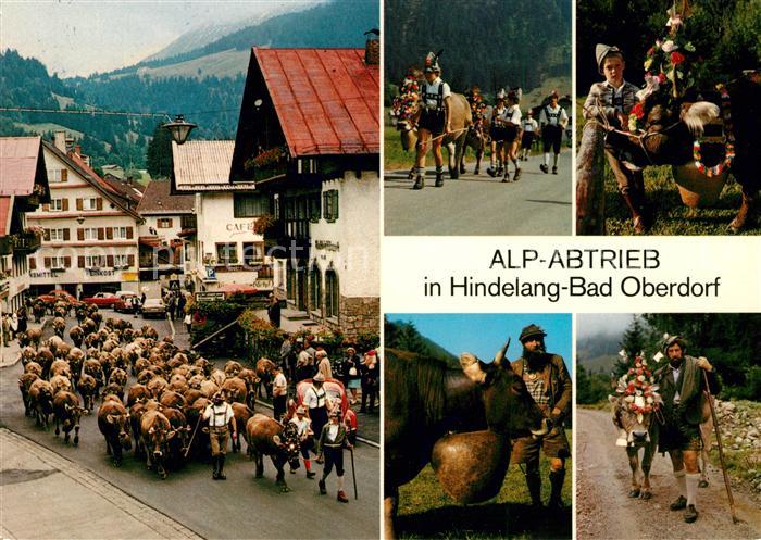 Kuehe Alp-Abtrieb Hindeland Bad Oberdorf