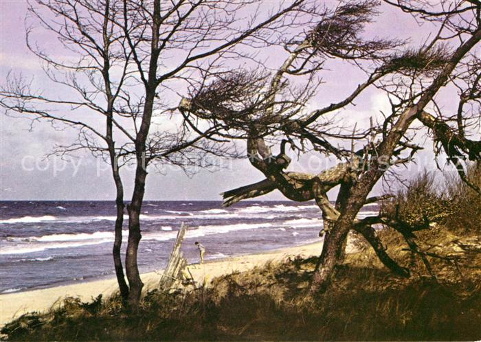 Ahrenshoop Ostseebad Darsser Strand