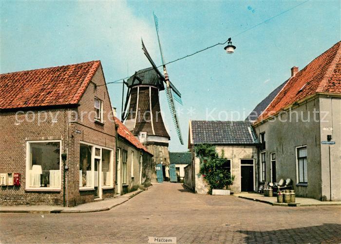 Hattem Zwolle Molen de Fortuin
