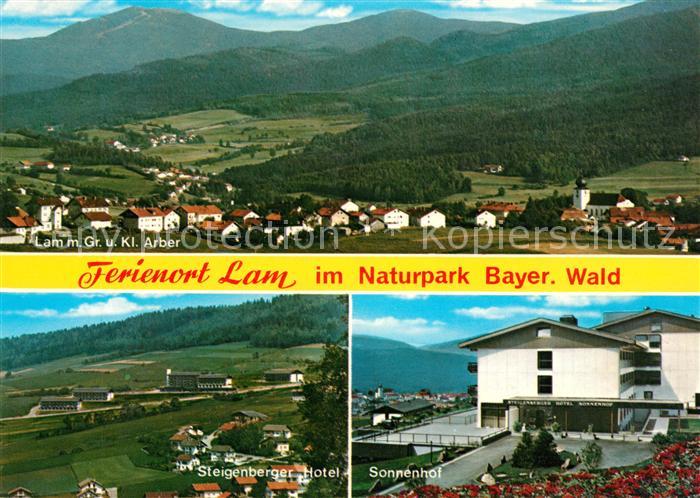 Lam Oberpfalz Grosser kleiner Arber Steigenberger Hotel Sonnenhof
