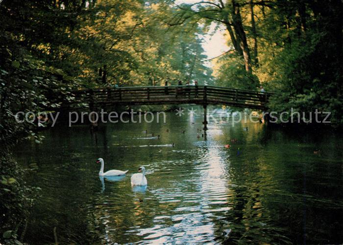 Erding StadtparkSchwaene