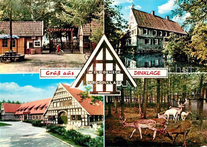 Dinklage Wildgehege Burg Fachwerk