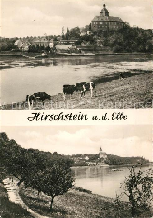 Hirschstein Elbe Riesa Schloss Panorama