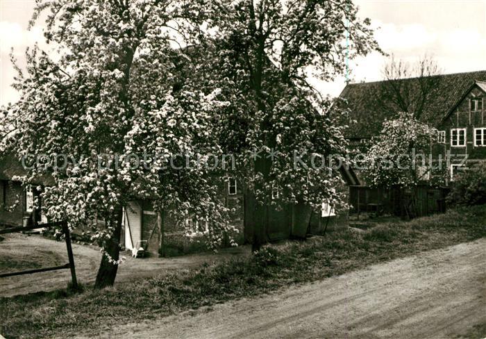 Schwinde Gast Pensionshaus Harms