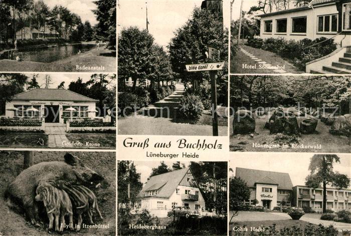 Lueneburger Heide Buchholz Badeanstalt Goldene Krone Hotel Sonnenhof Huenengrab