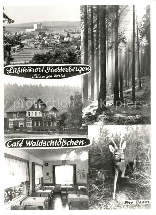Finsterbergen Panorama Luftkurort Cafe Waldschloesschen Rehkitz Waldpartie