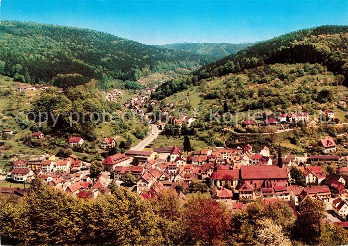 Schoenau Odenwald Panorama