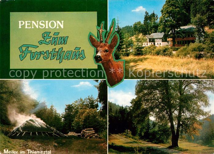 Thiemitz Wald Pension zum Forsthaus