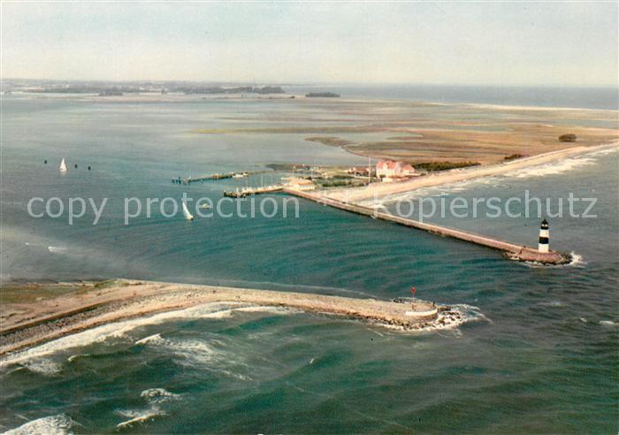 Schleimuende Fliegeraufnahme