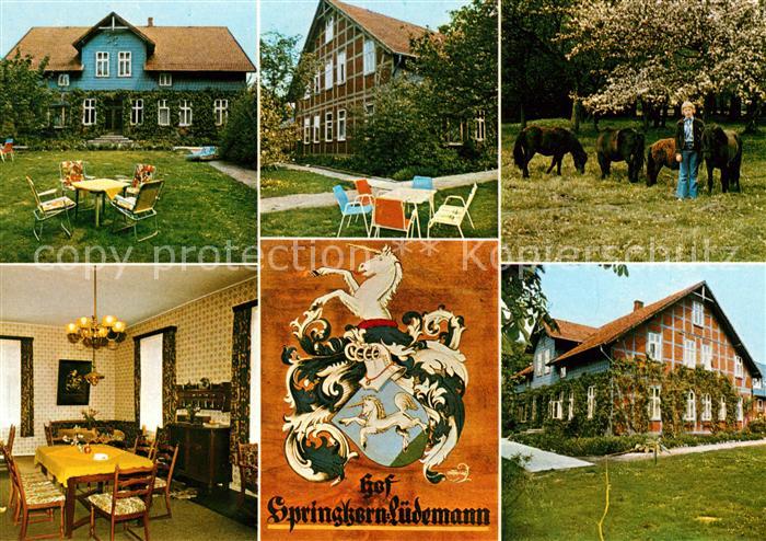 Frielingen Soltau Hof Springhorn