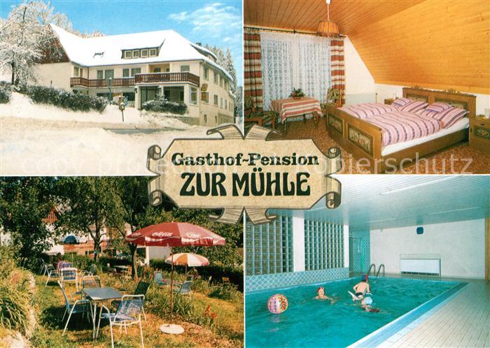 Schuebelhammer Gasthaus Pension Zur Muehle Schwimmbad Winteraufnahme