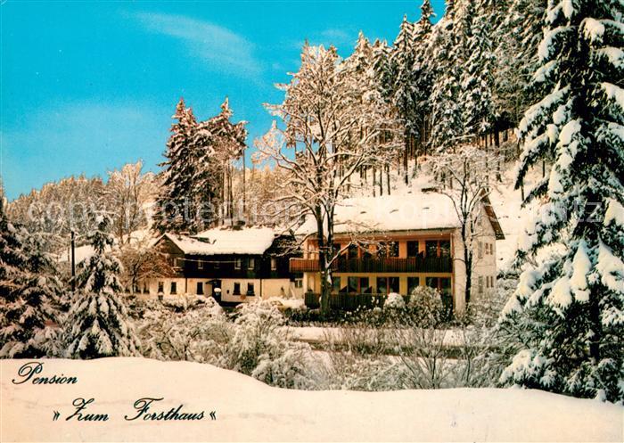 Thiemitz Wald Pension Zum Forsthaus Winterlandschaft