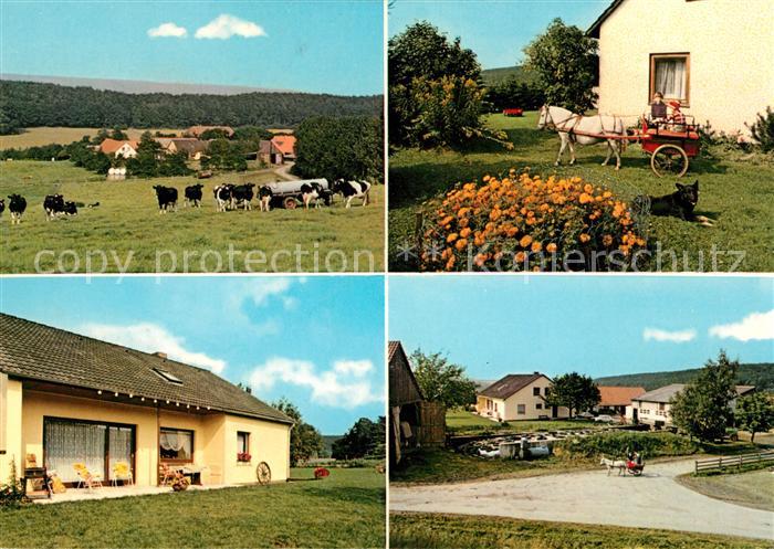 Auetal Urlaub auf dem Bauernhof