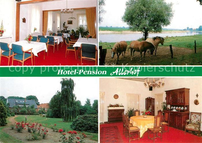 Bosse Aller Hotel Restaurant Allerhof Pferde